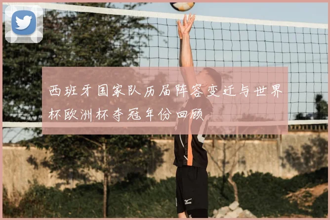 西班牙国家队历届阵容变迁与世界杯欧洲杯夺冠年份回顾