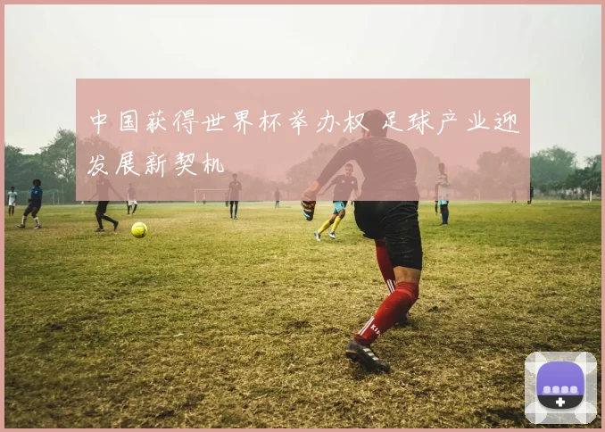 中国获得世界杯举办权 足球产业迎发展新契机