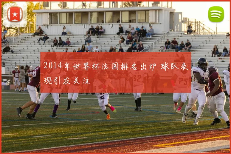 2014年世界杯法国排名出炉 球队表现引发关注