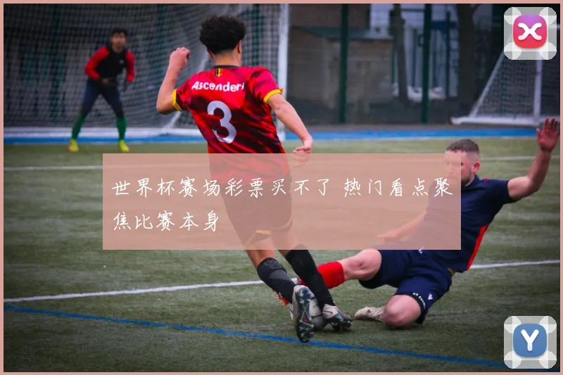 世界杯赛场彩票买不了 热门看点聚焦比赛本身