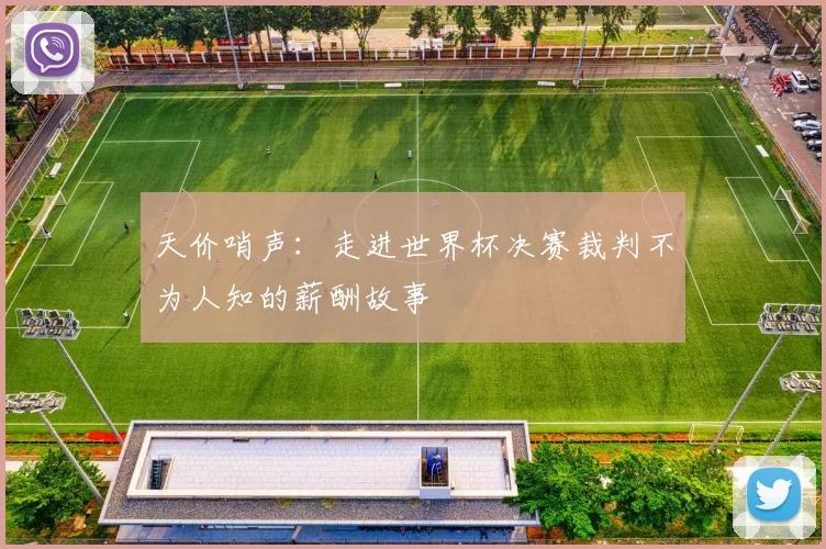 天价哨声:走进世界杯决赛裁判不为人知的薪酬故事