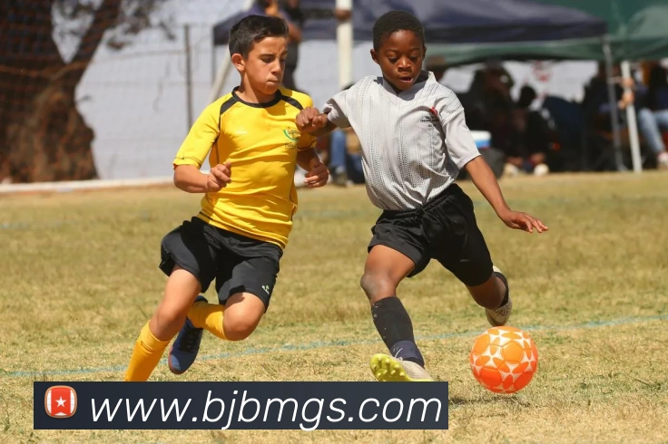 云顶集团官网首页入口APP 封面图